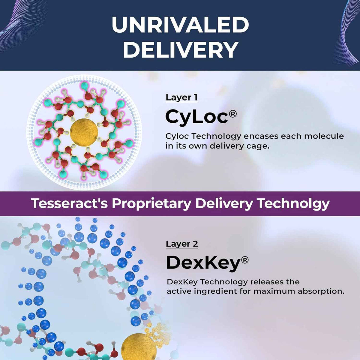 Tesseract Gut & Immune Support Bundle - ProButyrate 600mg & QuerciSorb SR Quercetin 400mg, 120 + 90 Capsules, Gastrointestinal & Immune Health, Hypoallergenic