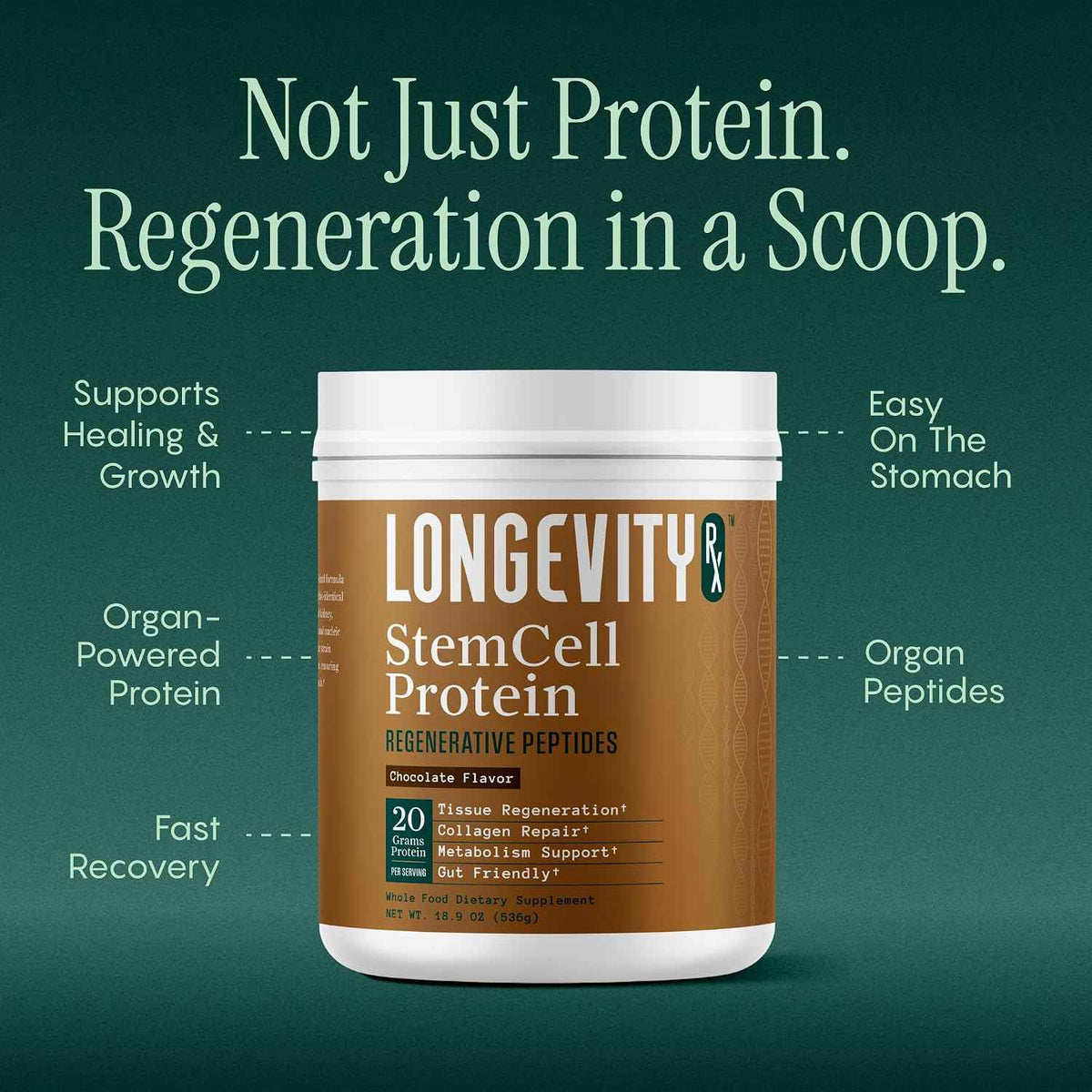 Stem Cell Protein Powder Chocolate - Bone Marrow & Bone Broth Protein, Bacillus Subtilis AB-22, Natural Peptides - Cellular Recovery - 30 Servings