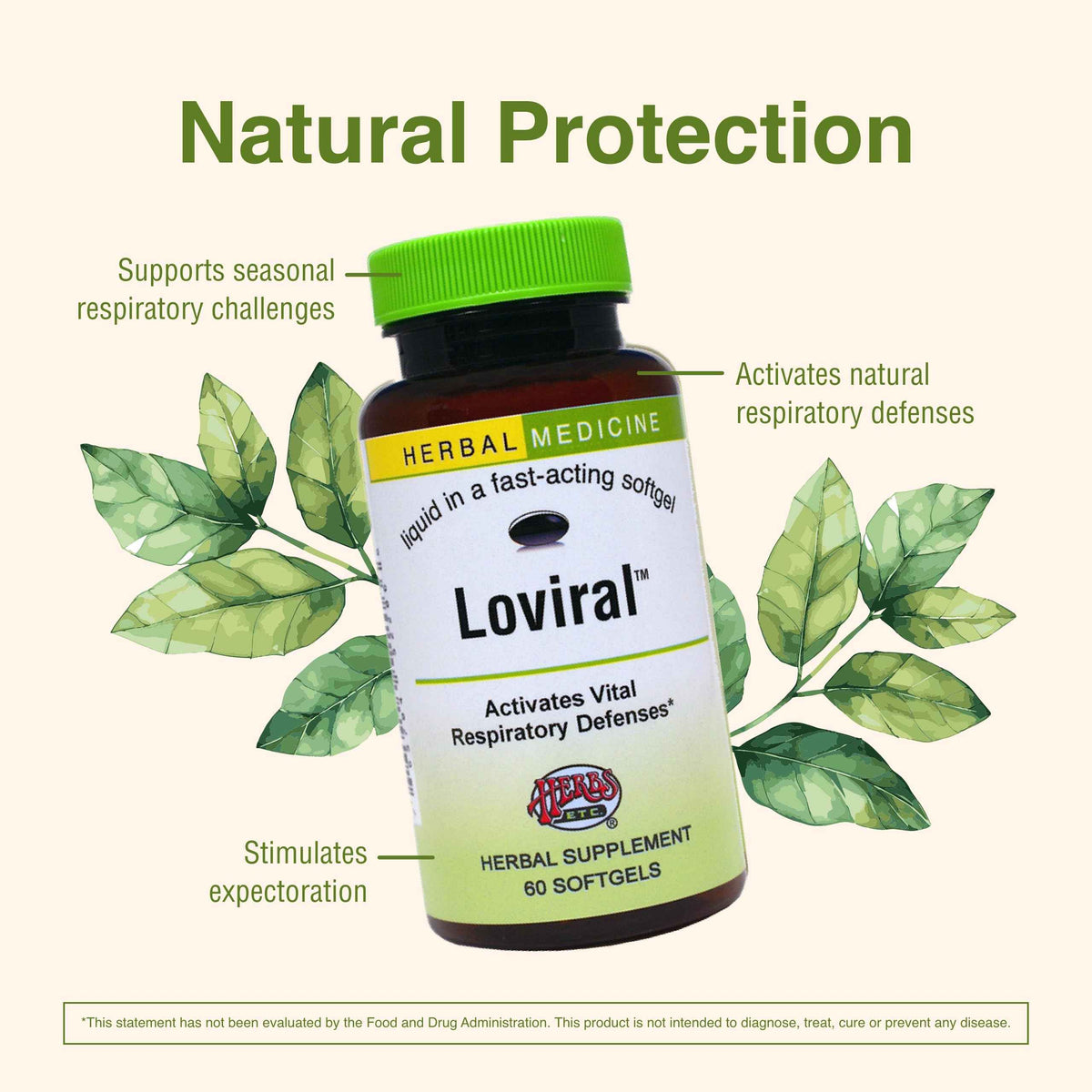 Herbs Etc. Loviral - Lung Health Supplement for Respiratory Defense & Support - Herbal Supplement with Lomatium, Pelargonium & OSHA - Gluten-Free - 60 Softgels (60 Servings)