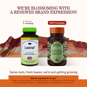 Herbs Etc. Loviral - Lung Health Supplement for Respiratory Defense & Support - Herbal Supplement with Lomatium, Pelargonium & OSHA - Gluten-Free - 60 Softgels (60 Servings) Herbs Etc.Buy Supplements Australia