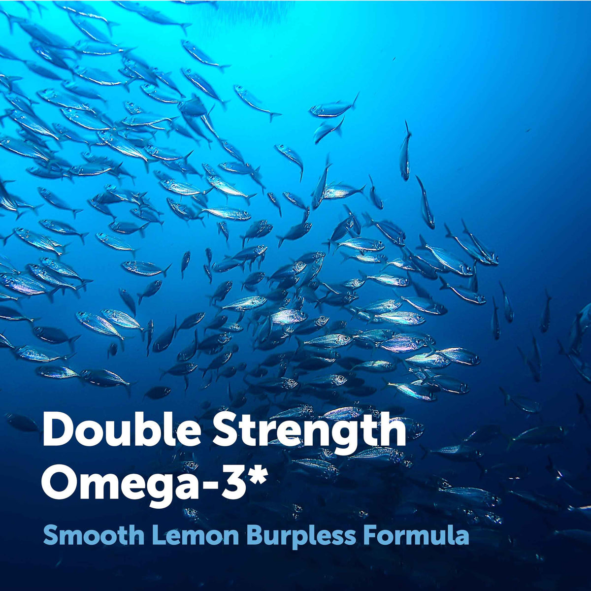 Micro Ingredients Omega 3 Fish Oil Supplements 3,000mg Per Serving, 240 Softgels - Lemon Flavored - Burpless - EPA 540mg + DHA 360mg - Deep Sea Fish