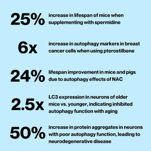 Celly Autophagy Activator | Longevity Supplement for Cellular Nutrition and Healthy Aging | Promotes Cell Renewal with Spermidine, Pterostilbene, Fisetin, and NAC | Made in USA & 3rd Party Tested CellyBuy Supplements Australia
