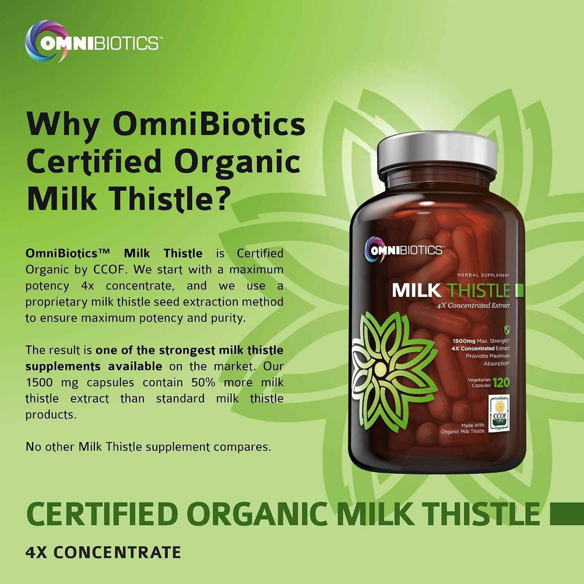 Milk Thisle Capsules + Organic Turmeric Curcumin