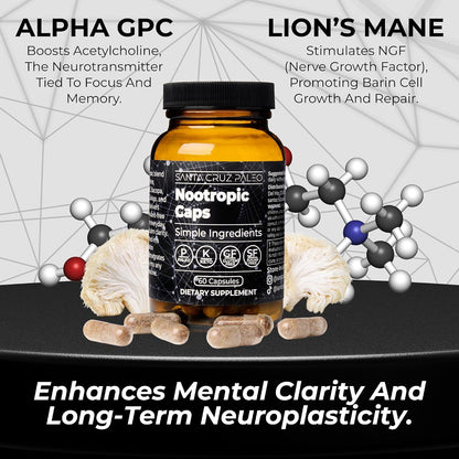 Santa Cruz Paleo Nootropic Capsules - Lions Mane, Alpha GPC, Panax Ginseng & Ginkgo Biloba for Focus, Memory, Mental Clarity & Energy - Keto, Paleo, Gluten Free Brain Supplement, 60 Caps