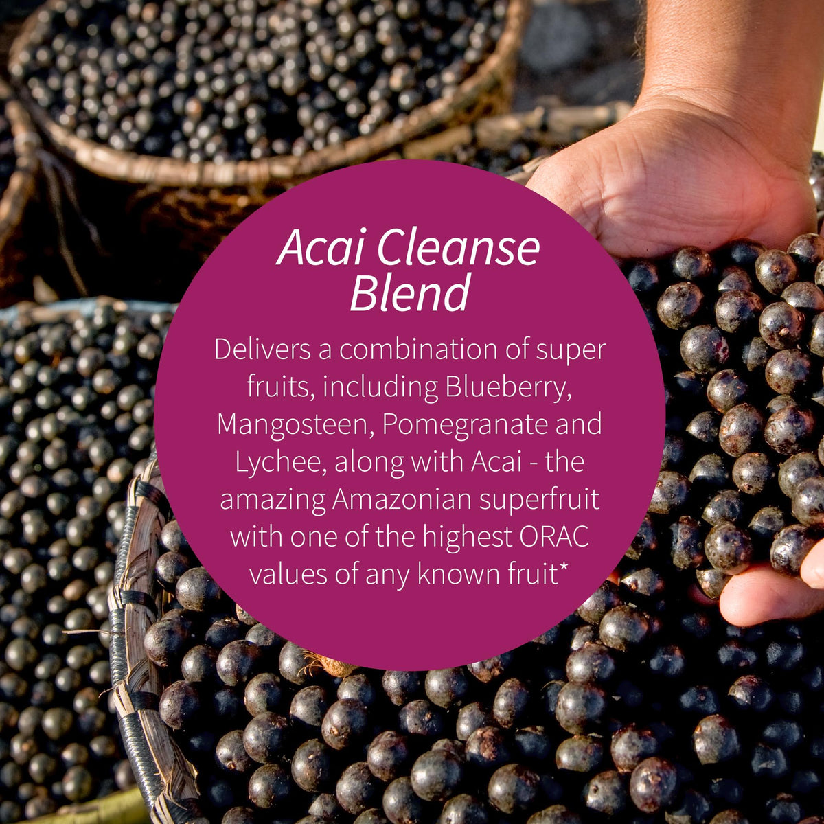 Applied Nutrition 14-Day Acai Berry Cleanse - 56 Tablets, Pack of 5 - Weight-Loss Support Flush + Milk Thistle - 140 Total Servings