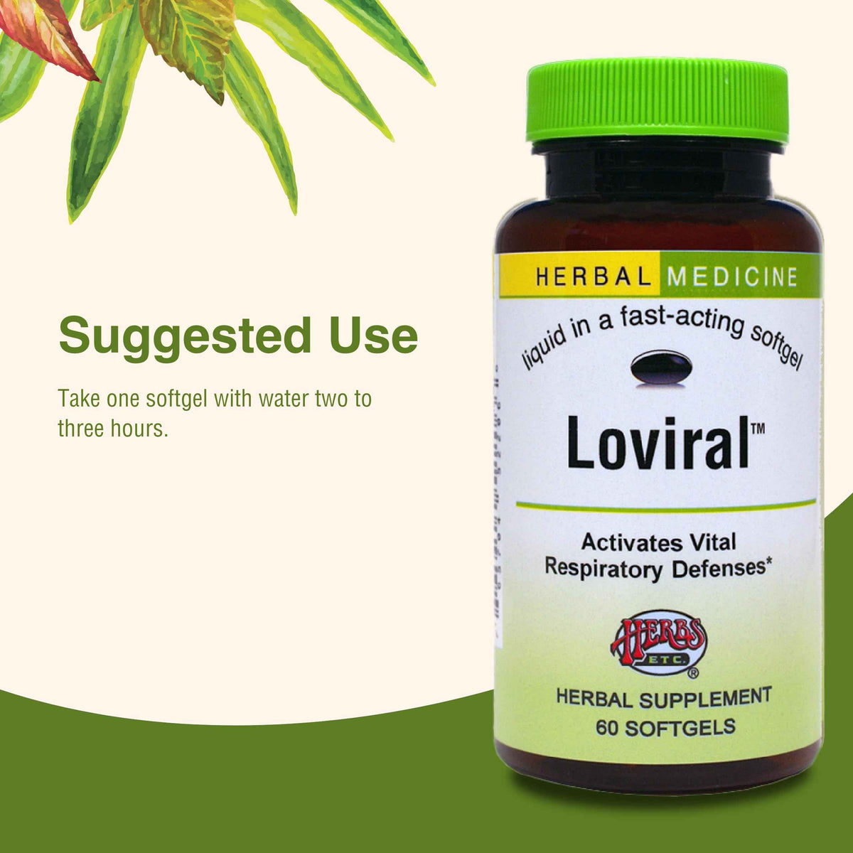 Herbs Etc. Loviral - Lung Health Supplement for Respiratory Defense & Support - Herbal Supplement with Lomatium, Pelargonium & OSHA - Gluten-Free - 60 Softgels (60 Servings)