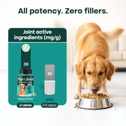 Natureflow Hip & Joint Supplement for Dogs, 300mg Green-Lipped Mussel for Dog Arthritis Pain Relief, Glucosamine, MSM & Chondroitin, Zero Sugar, Large Medium Small Breeds, 50 Chewable Tablets
