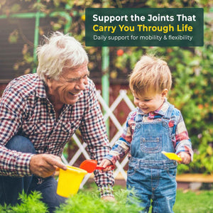 ASU Joint Support Supplement - 300mg Avocado Soy Unsaponifiables for Joint Comfort, Mobility & Cartilage Health, Clinically Studied, Plant-Based, Non-GMO, Gluten-Free, 60 Capsules (6 Month Supply)