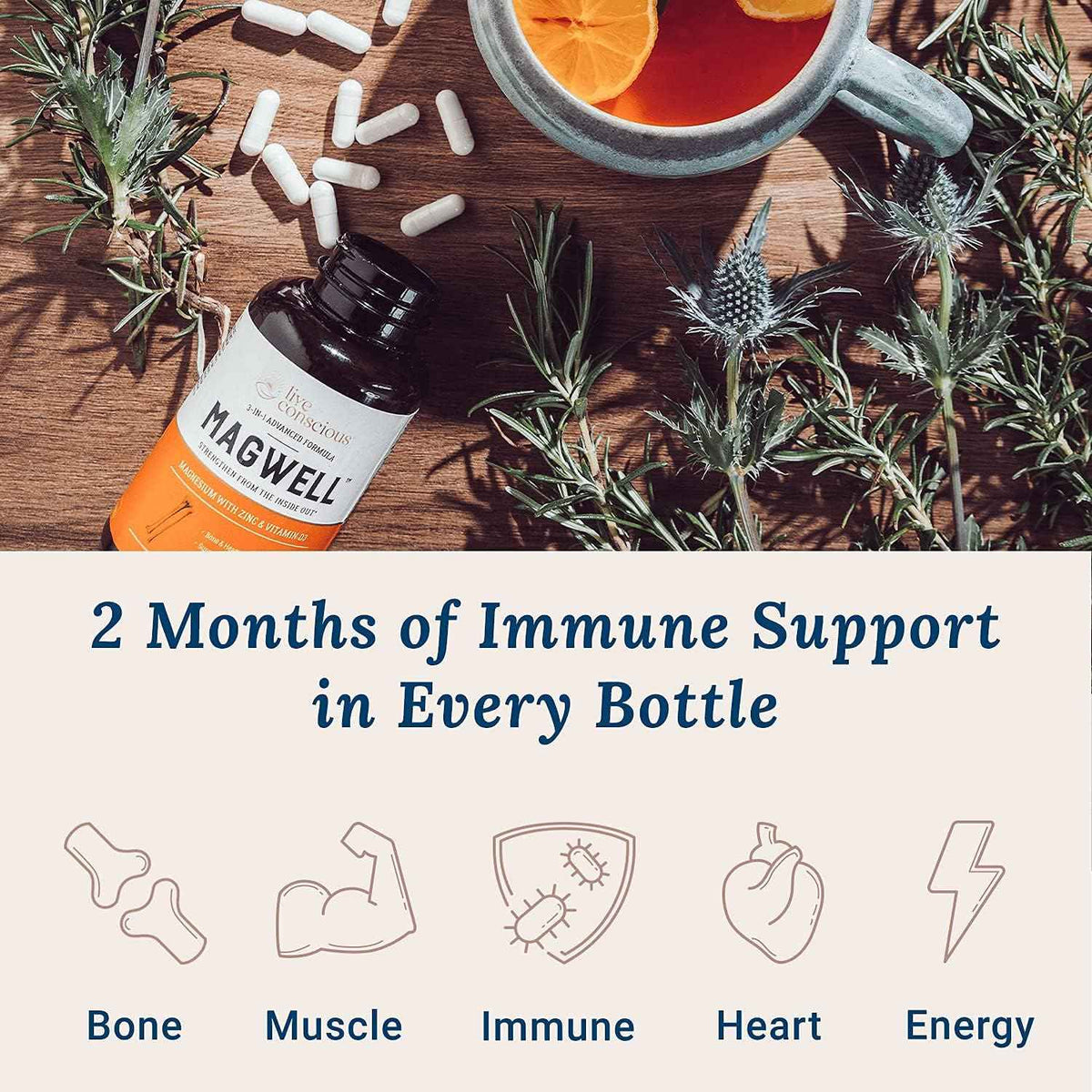 Live Conscious OmegaWell Fish Oil & MagWell Magnesium Zinc & Vitamin D3 - Bone & Heart Health, Immune System Support + Heart, Brain & Joint Support