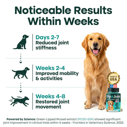 Natureflow Hip & Joint Supplement for Dogs, 300mg Green-Lipped Mussel for Dog Arthritis Pain Relief, Glucosamine, MSM & Chondroitin, Zero Sugar, Large Medium Small Breeds, 50 Chewable Tablets