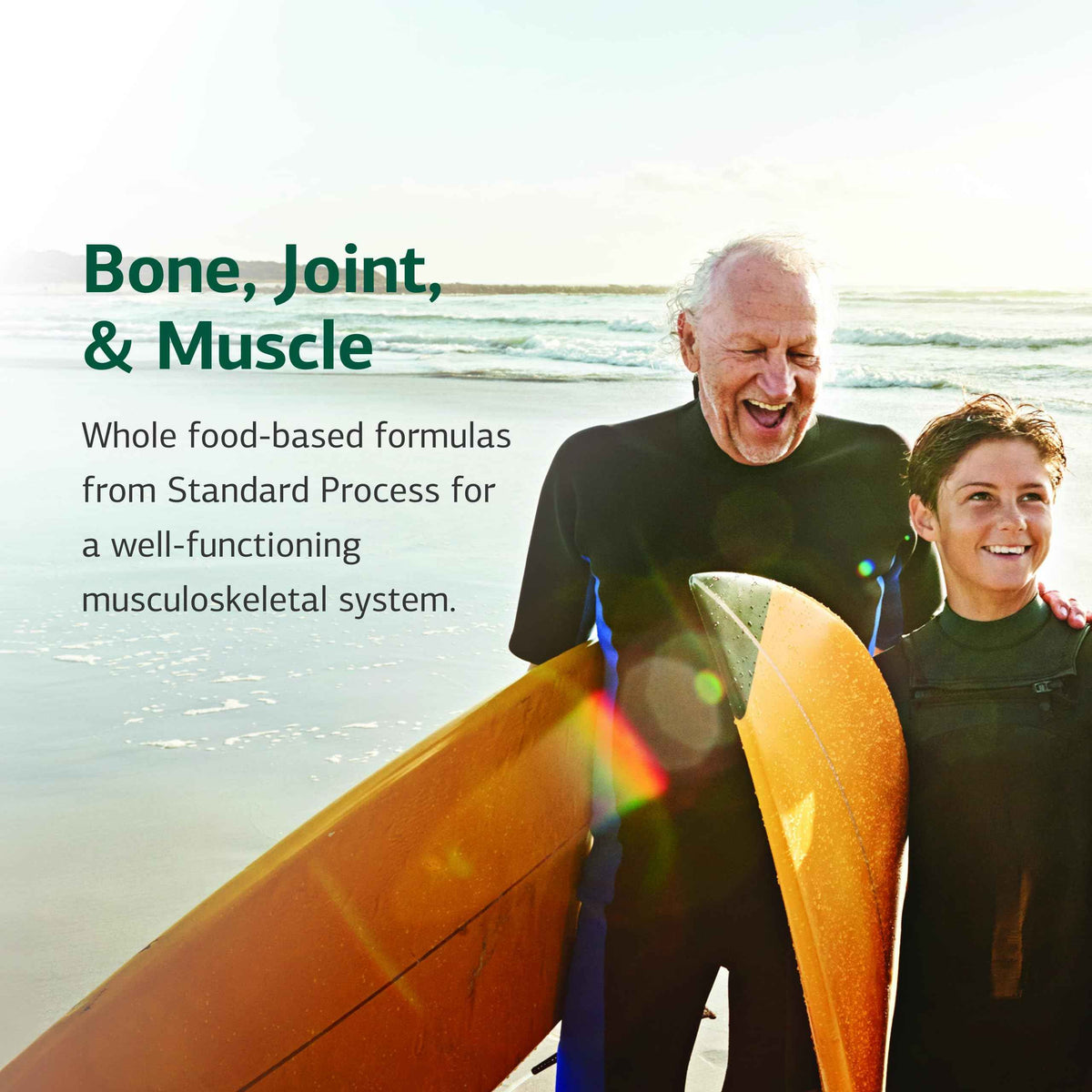 Standard Process Nutrimere - Supports Joint Health - Joint Supplement with Perna Canaliculus & New Zealand Green Mussel - Gluten-Free, Non-Soy & Non-Dairy - 90 Capsules