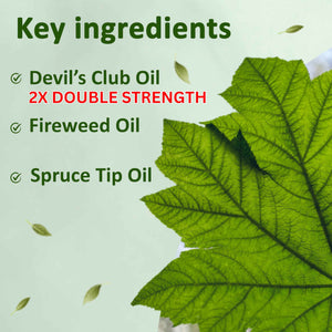 Snowy Summit Alaska Rainforest 2X Salve Stick - Salve for Dry Skin & Joint Relief - Natural Salve for Soothing Skin with Gentle Aroma - Body & Hand Salve - Muscle Rub Alaskan Devil’s Club Oil