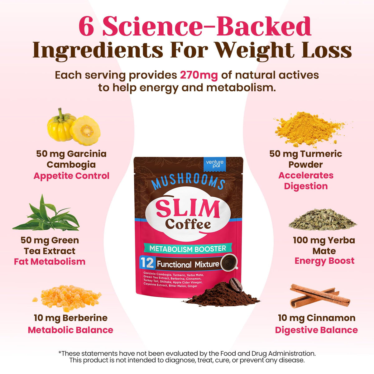 Venture Pal Mushroom Coffee, 12 Mushrooms, Focus & Digestion, 40 Servings - 12 Adaptogenic Mushrooms with Lion's Mane, Cordyceps, Reishi, Turkey Tail, Ashwagandha & Probiotics, Low Caffeine & Calories