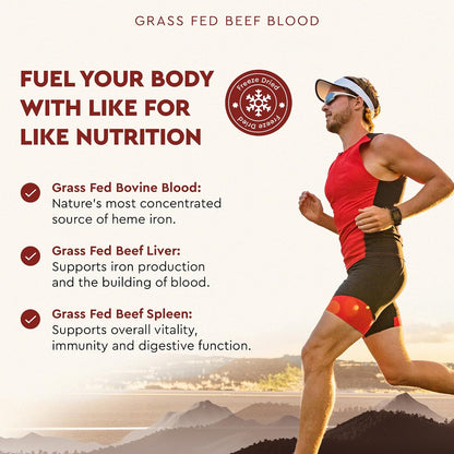 Ancestral Supplements Blood Health Supplement, Organ Formula, 500mg, 180 Ct - Beef blood, spleen and liver supplement supports red and white blood cell formation, immune health and heart health together.