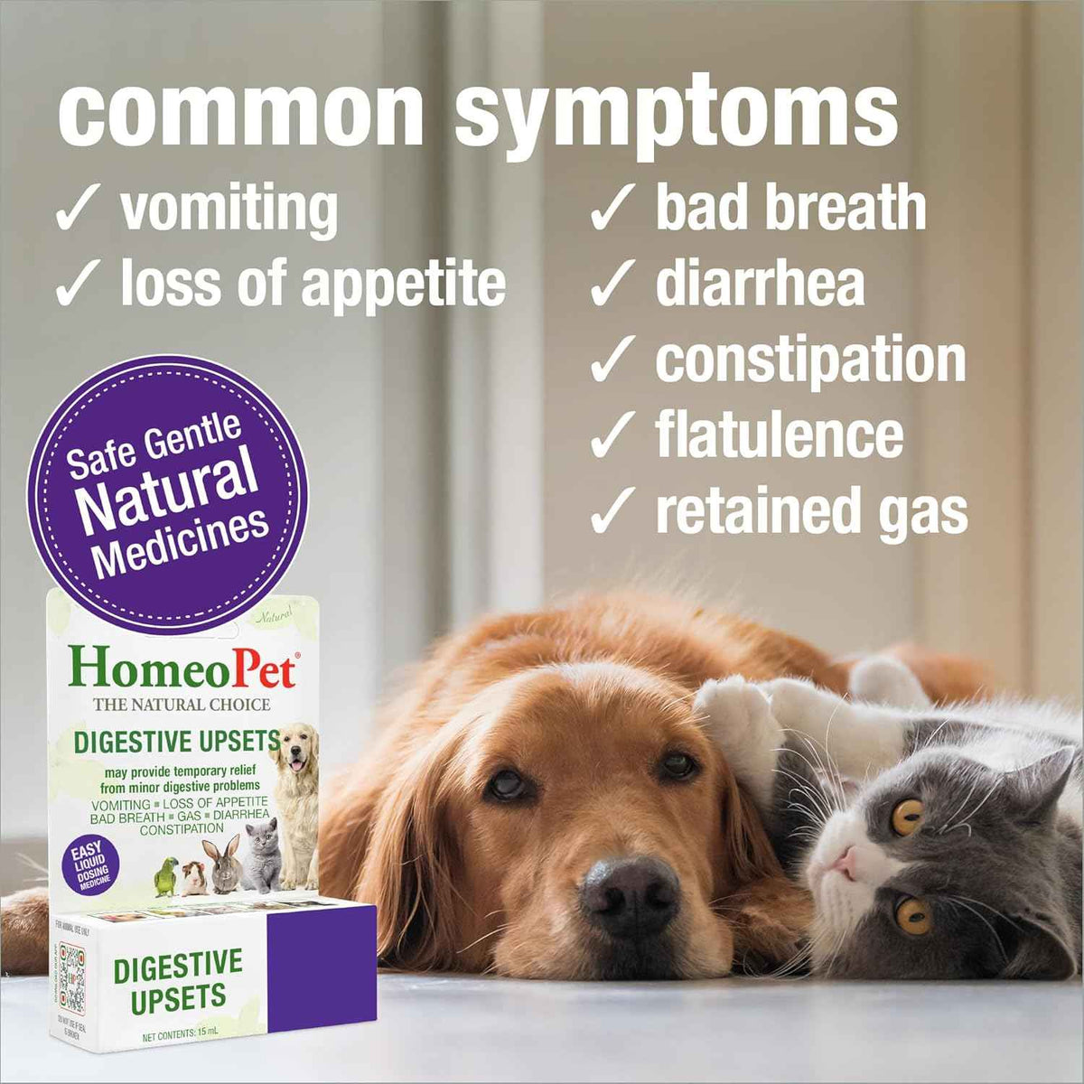 HomeoPet Digestive Upsets, Supplement for Dogs and Cats, 15 Milliliters - Natural digestive support for cats, dogs, and other pets, safe homeopathic formula, liquid drops suitable for daily use