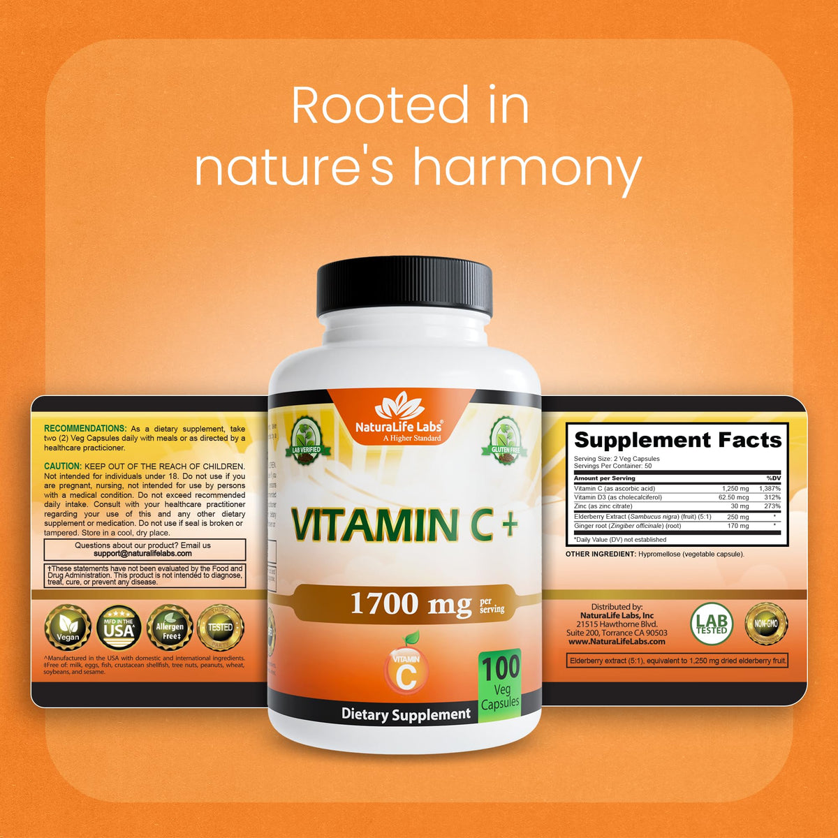 NaturaLife Labs Vitamin C with Vitamin D3, Zinc, Elderberry & Ginger Root - 1,700 mg per Serving - 100 Capsules, Vegan, Non-GMO, Gluten Free