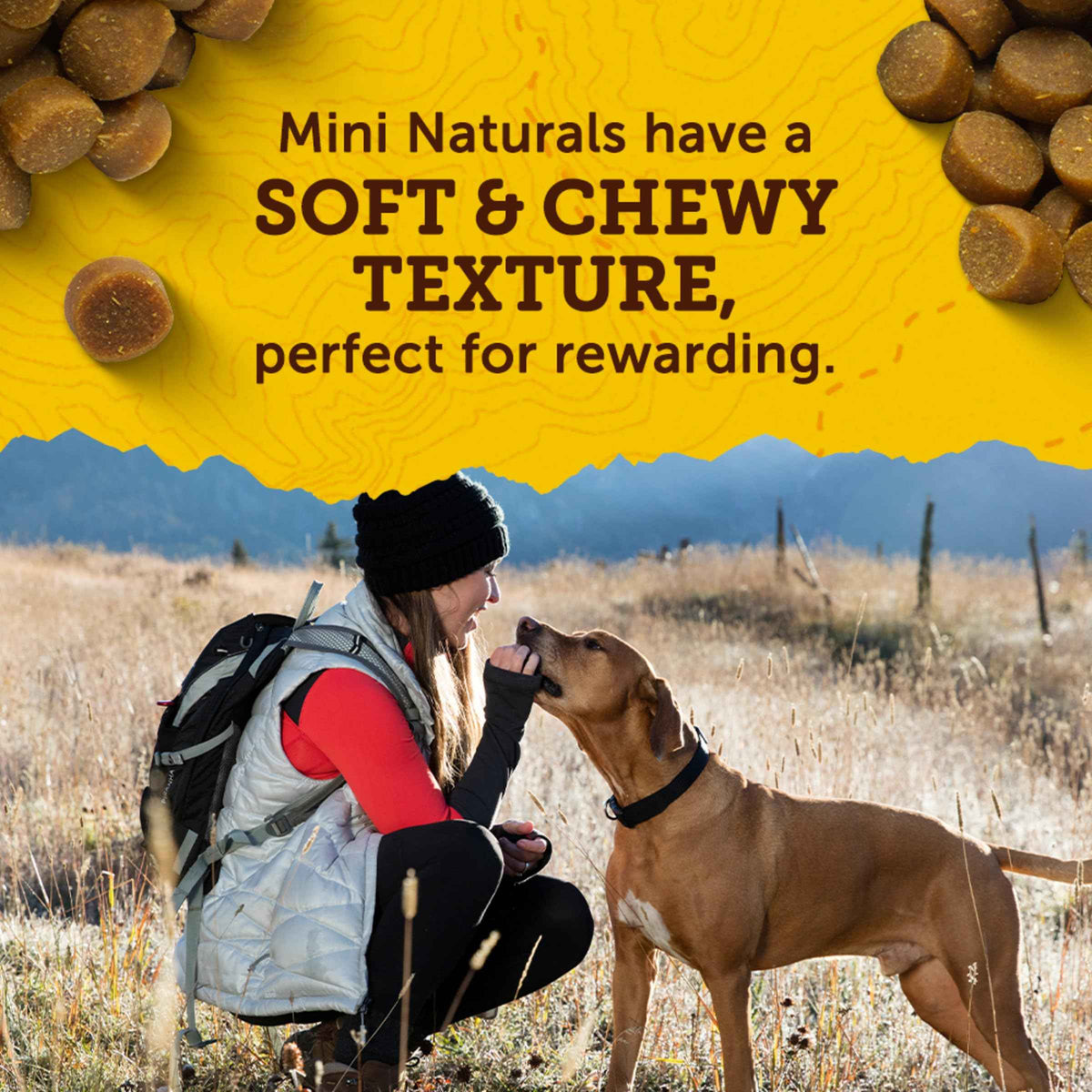 Zuke`s Mini Naturals Dog Treat Peanut Butter 1lb