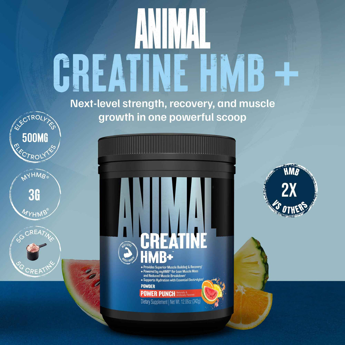 Animal Creatine HMB Powder - 3g myHMB + 5g Creatine with Electrolytes for Recovery & Daily Energy - Power Punch Flavor, 30 Servings
