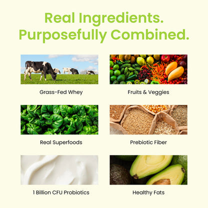TrueFit Grass-Fed Whey Protein Powder + Fiber & Probiotics, Vanilla Shake - 25g Gut Healthy Protein with Fiber, Probiotics & Non-GMO Superfoods for Complete Meal Replacement Shake with Nothing Fake