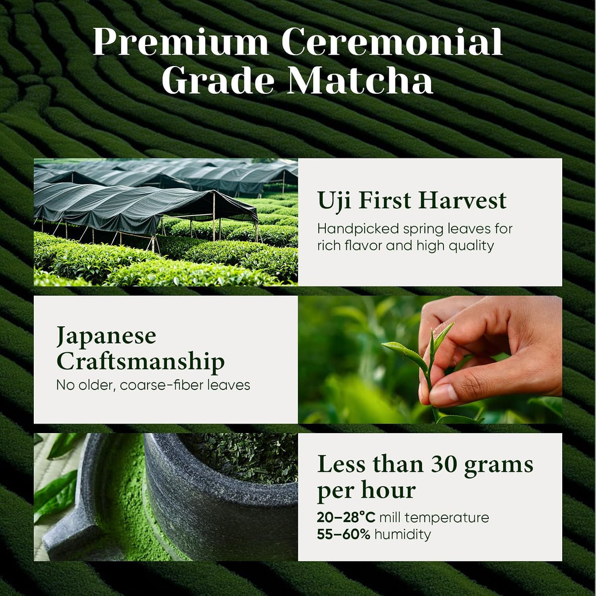 Ceremonial Grade Matcha Green Tea Powder, First Harvest, Shade Grown, 30g - 100% Pure Matcha Powder Ceremonial Grade, w/ No Additives, Unsweetened, Vegan, Gluten-Free, Smooth Flavor for Tea and Lattes