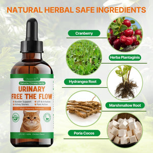 Cat Bladder Remedy for Stones & Crystals, Kidney StonesDissolver forCat- Urinary Free The Flow - Cat Urinary Tract Infection Treatment for Stones, Herbal CatUTI Remedy for Stone Relief & Prevention QanorethBuy Supplements Australia