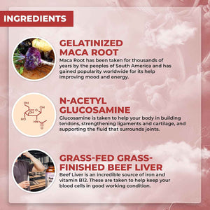 Santa Cruz Paleo, Food of the Gods Grass Fed Beef Organ Supplement for Men and Women, with Collagen, Maca Root, Colostrum, Bone Broth, Iron, Vitamin B12, Gluten Free, Keto Friendly, 30 Servings