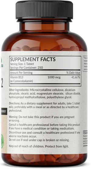 Futurebiotics Vitamin B12 1000mcg Vegetarian Friendly Non-GMO, 250 Tablets