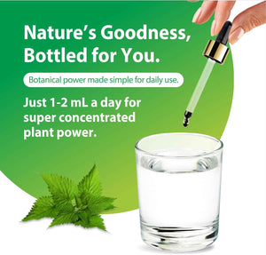 Rainbow Light Nettle Leaf Extract - 2 Fl Oz - Super Concentrated - Alcohol Free - Non-GMO and Gluten Free Herbal Supplement