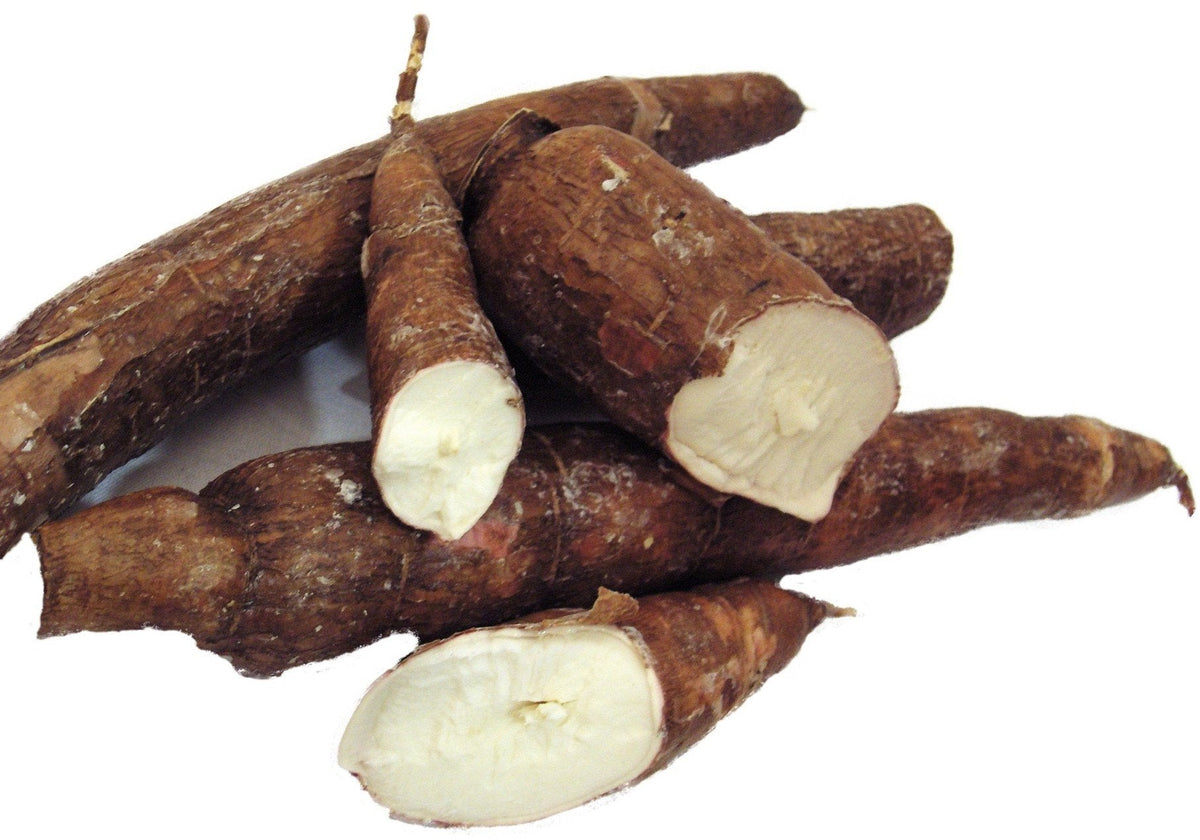 Cassava Twins 1 Month Supply Organic Cassava Root - Fertility Supplement for Twins