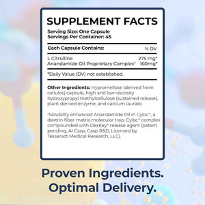 Tesseract Medical Research TetraCumin SR Joint Support Supplement & AnaQuell QR, Stress Relief & Mood Support Supplement