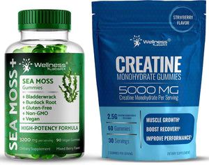 WELLNESS LABSRX Creatine Gummies 5000mg - Sea Moss Gummies 3200mg - Bundle