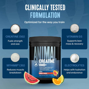 Animal Creatine HMB Powder - 3g myHMB + 5g Creatine with Electrolytes for Recovery & Daily Energy - Power Punch Flavor, 30 Servings