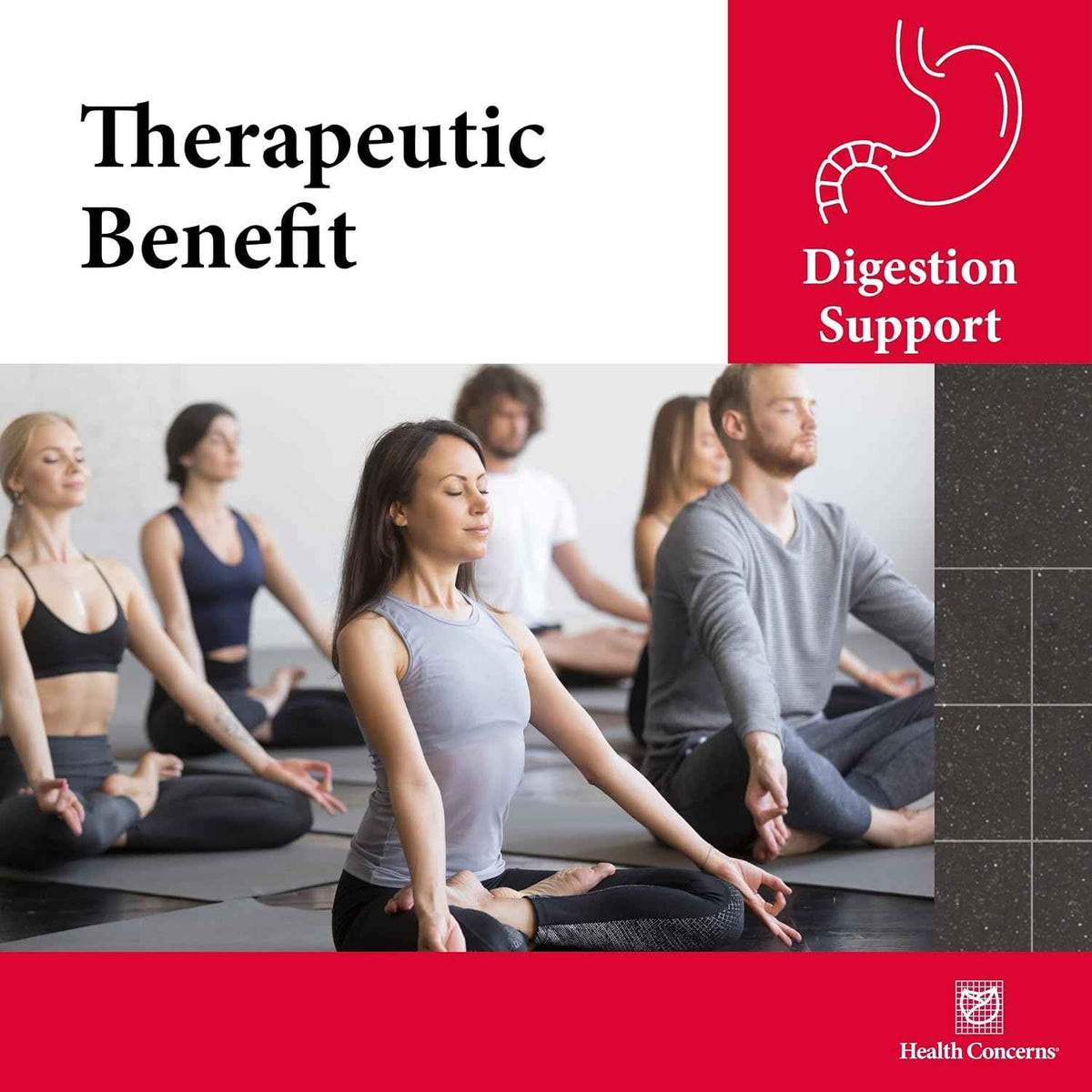 Health Concerns Six Gentlemen - Digestive Health & Qi Support Supplement - Licorice Root, Ginger & Codonopsis Formula - Bloating, Gas, Nausea - 90 Capsules - Chinese Herbal Medicine