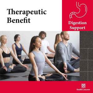 Health Concerns Six Gentlemen - Digestive Health & Qi Support Supplement - Licorice Root, Ginger & Codonopsis Formula - Bloating, Gas, Nausea - 90 Capsules - Chinese Herbal Medicine