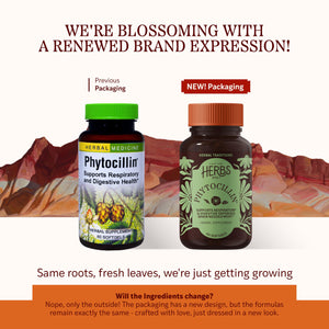 Herbs Etc. Phytocillin - Respiratory & Digestive Health Support Supplement - Herbal Formula to Support Digestion - Support Healthy Breathing - 60 Softgels (60 Servings) Herbs Etc.Buy Supplements Australia