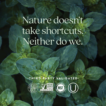 New Chapter One Daily Every Man's Multivitamin 40+ - Offers Eyesight, Immune System & Cellular Energy Support* - Contains Vitamin C, Saw Palmetto & More - Gluten Free & Vegetarian - 96 Tablets