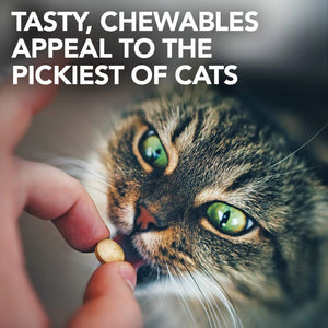 Vet's Best Cat Urinary Supplement, Urinary Tract Support Chewable for Cats, Supports A Healthy Urinary Tract in Cats, 60 Chewable Tablets Vet's BestBuy Supplements Australia