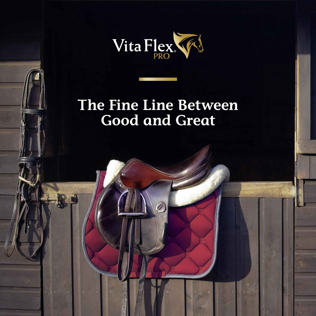 Vita Flex Pro Recovery by the Makers of Lactanase, Post Performance Horse Supplements 40 g, Show Safe Muscle Recovery Supplements, Amino Acids for Horses, Strength & Joint Health