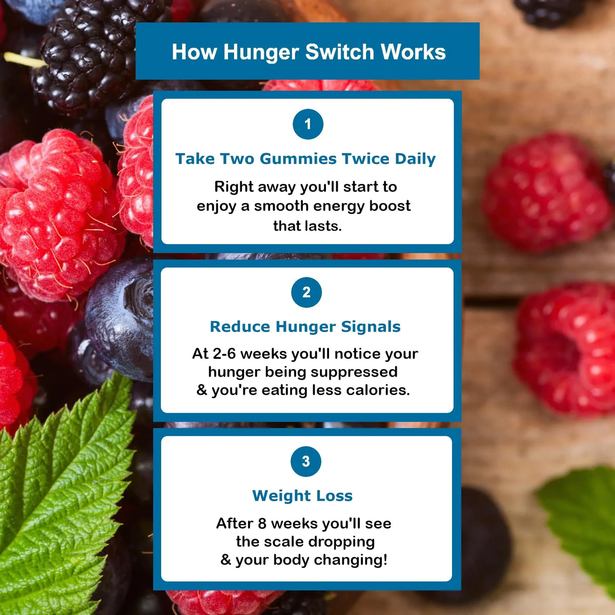 Oakmont Nutrition Hunger Switch Appetite Control Gummies - Weight Management Supplement with DNF-10® to Curb Cravings, Boost Energy, Support Gut Health - 60 Gummies (2 Week Supply)