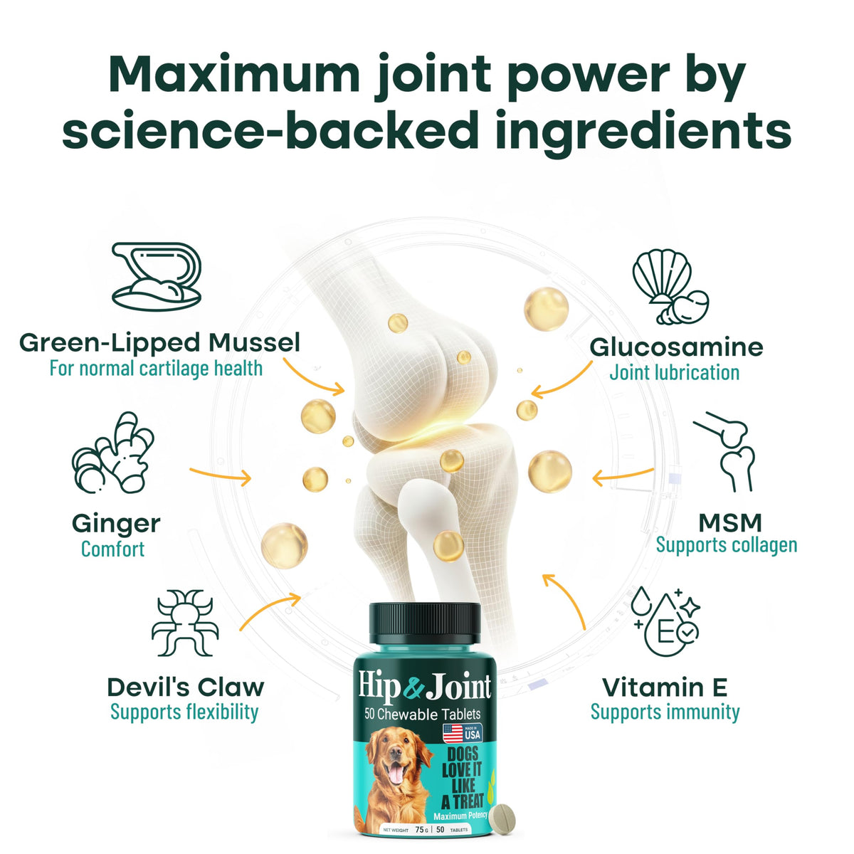 Natureflow Hip & Joint Supplement for Dogs, 300mg Green-Lipped Mussel for Dog Arthritis Pain Relief, Glucosamine, MSM & Chondroitin, Zero Sugar, Large Medium Small Breeds, 50 Chewable Tablets