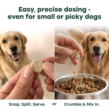 Natureflow Hip & Joint Supplement for Dogs, 300mg Green-Lipped Mussel for Dog Arthritis Pain Relief, Glucosamine, MSM & Chondroitin, Zero Sugar, Large Medium Small Breeds, 50 Chewable Tablets