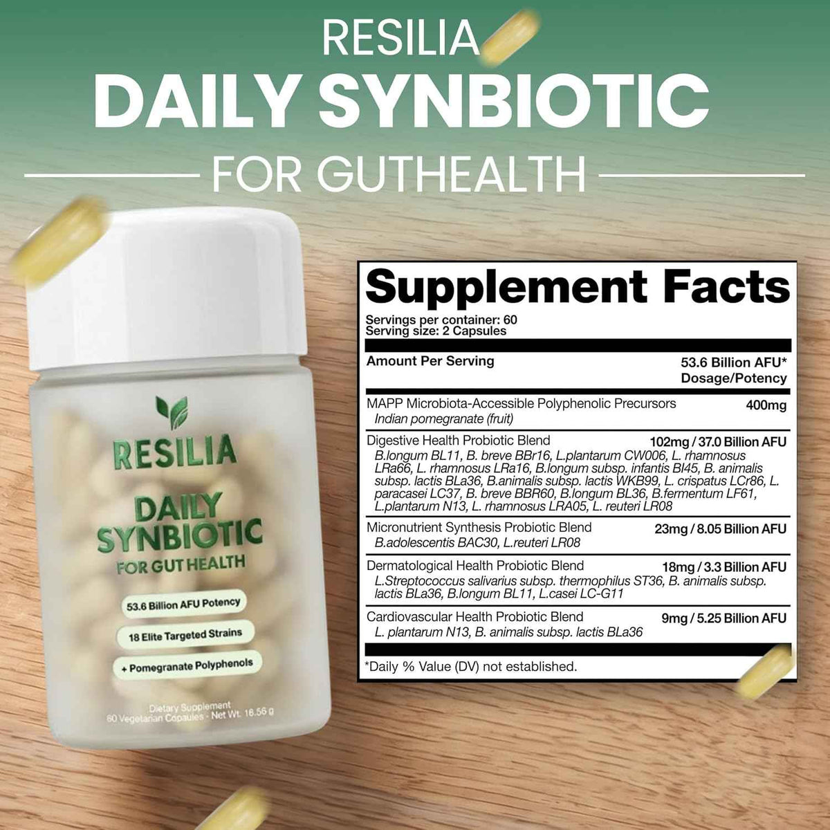 Resilia Synbiotic Probiotic + Prebiotic Supplement for Women & Men - 53.6 Billion AFU, 18 Strains, Shelf-Stable Capsules with Polyphenols, Digestive & Gut Balance Support, 60 Capsules