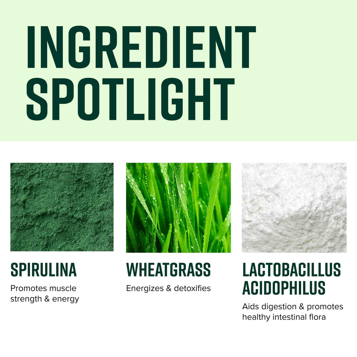 Vibrant Health, Green Vibrance, Superfoods Powder with 70+ Plant-Based Whole Foods & 25 Billion Probiotics Per Serving, Blueberry Lemon, 25 Servings