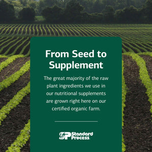 Standard Process Nutrimere - Supports Joint Health - Joint Supplement with Perna Canaliculus & New Zealand Green Mussel - Gluten-Free, Non-Soy & Non-Dairy - 90 Capsules