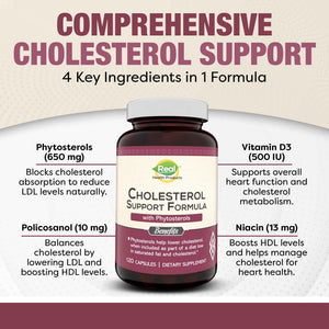 Advanced Cholesterol Health Complex with Plant Sterols. Cholesterol & Lipid Support Supplement for Healthy Heart & Cholesterol Levels for Men & Women. 120 Capsules