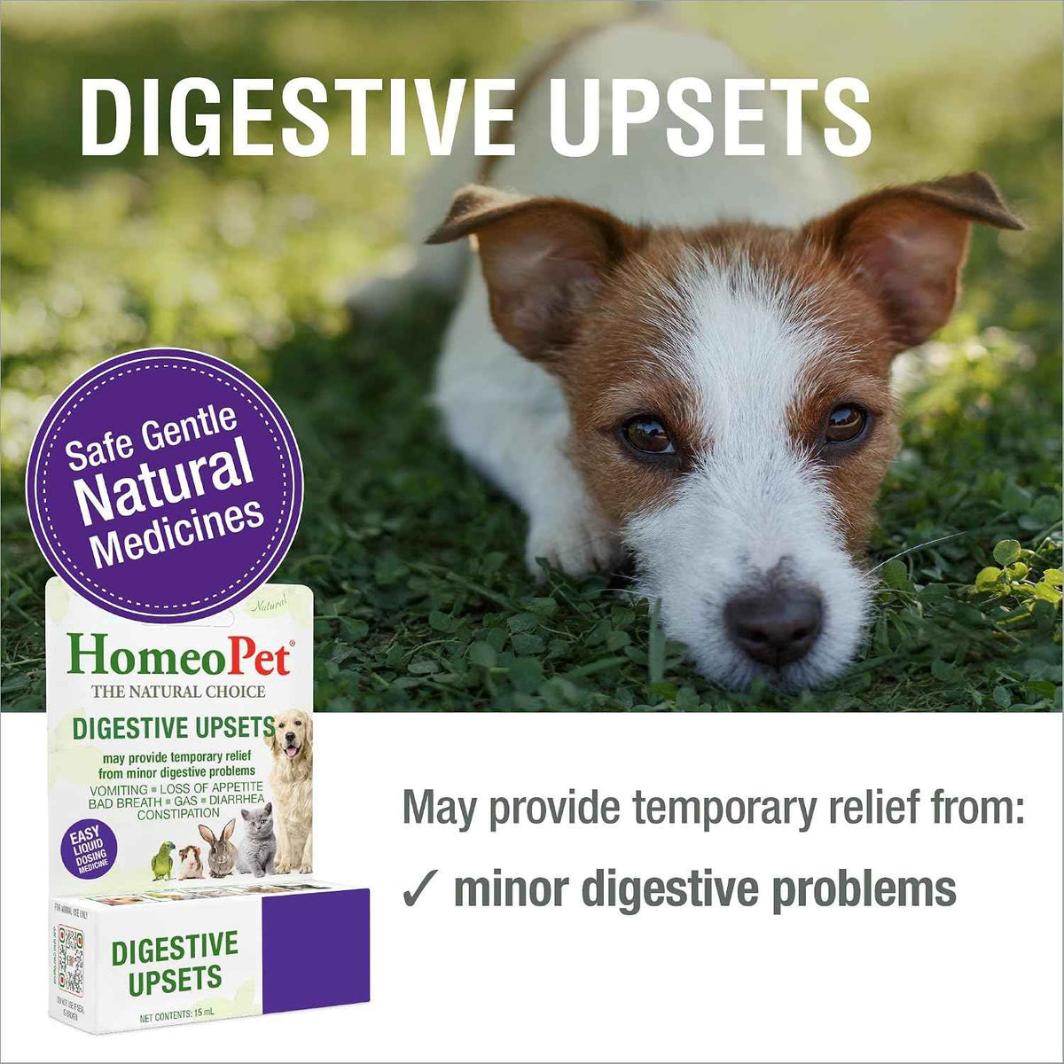HomeoPet Digestive Upsets, Supplement for Dogs and Cats, 15 Milliliters - Natural digestive support for cats, dogs, and other pets, safe homeopathic formula, liquid drops suitable for daily use