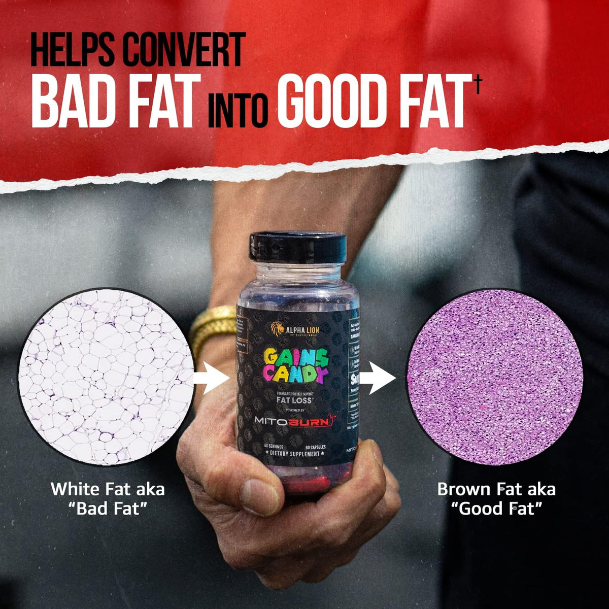 ALPHA LION Gains Candy, Supplement Pills that Support Weight Loss, Appetite Suppressant, Keto-Diet Friendly, Decrease Body Fat, Upgrade Energy & Workout Performance, 60 Capsules (MitoBurn)
