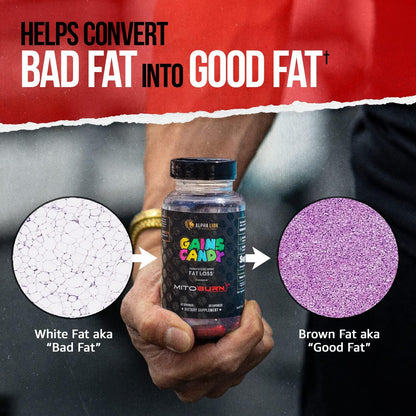 ALPHA LION Gains Candy, Supplement Pills that Support Weight Loss, Appetite Suppressant, Keto-Diet Friendly, Decrease Body Fat, Upgrade Energy & Workout Performance, 60 Capsules (MitoBurn)