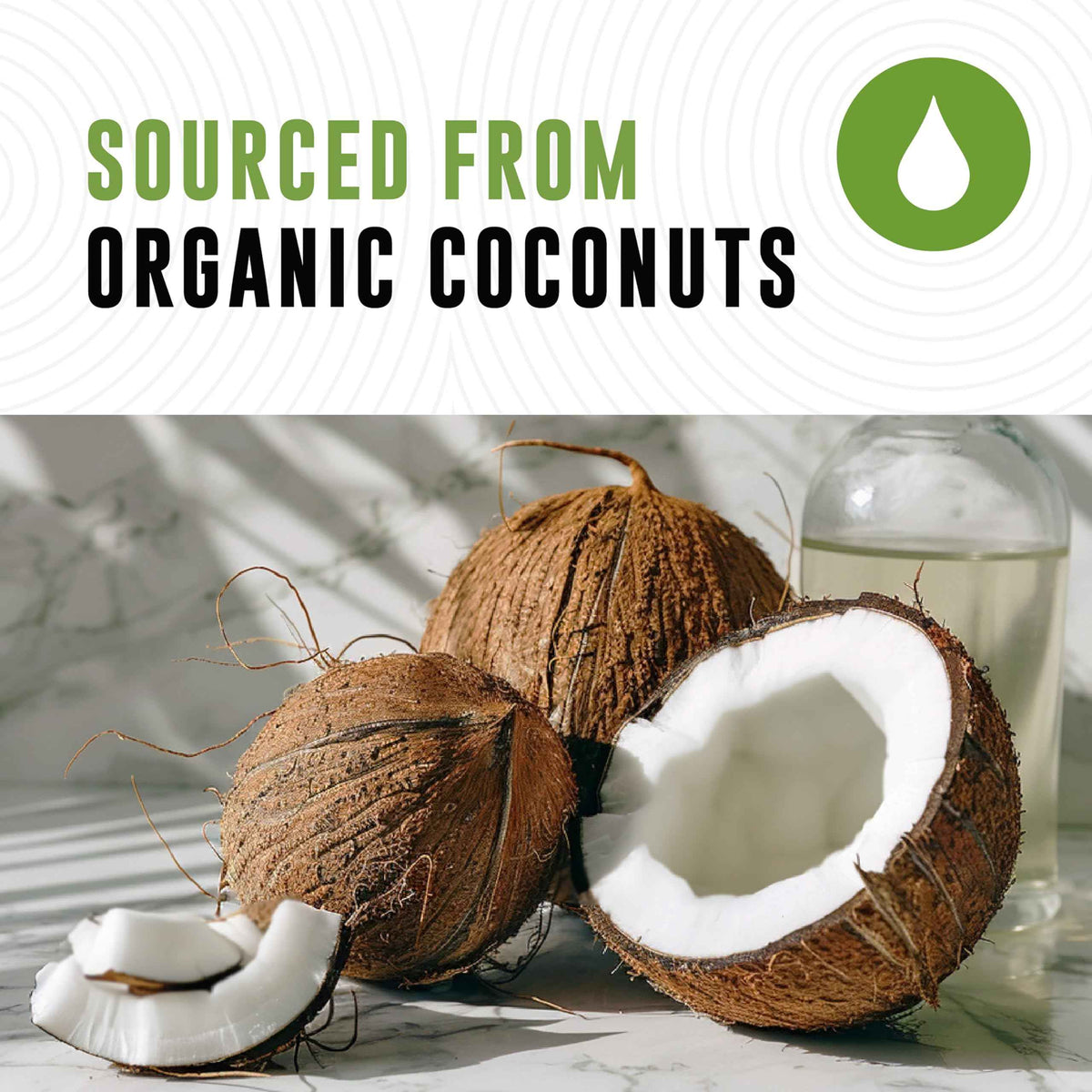 100% Coconut MCT Oil Liquid - MCT Oil C8 C10 for Sustained Mental Energy & Focus Support Great for Smoothies Salads Coffee & More - Palm Free Vegan Keto & Paleo Friendly 60+ Servings (32 Fl Oz)