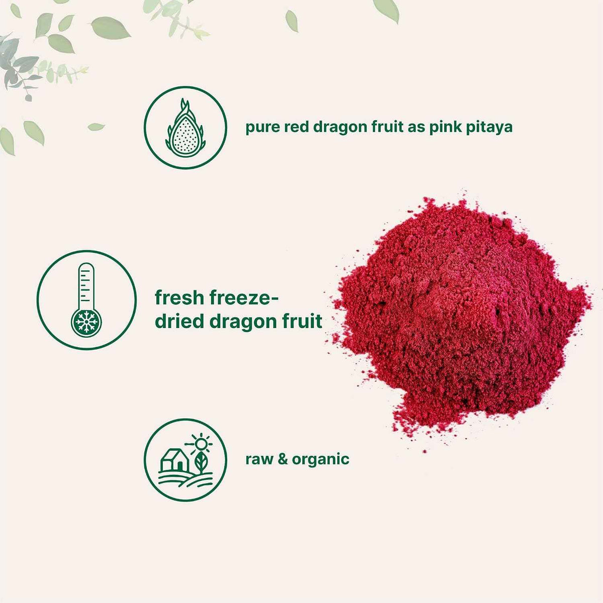 Micro Ingredients Organic Dragon Fruit Powder, 10oz - Natural Fruit Flavor - Freeze-Dried Pink Pitaya Source - No Sugar & Additives - Great for Drinks, Smoothie, & Beverages - Non-GMO & Vegan Friendly